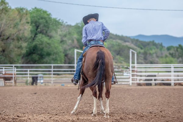 Parker halting his horse