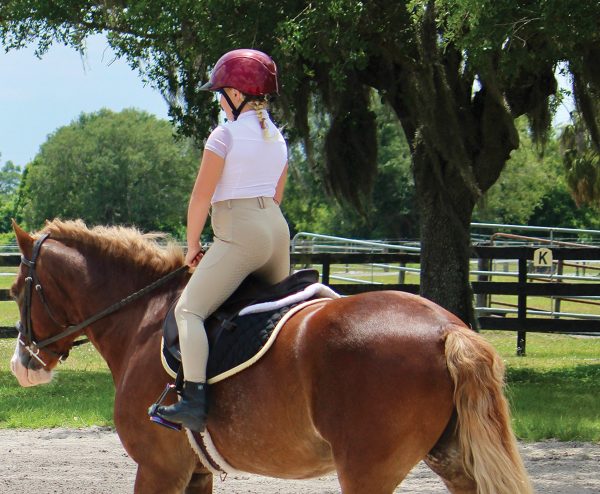 An equestrian trying an exercise while riding the trot.