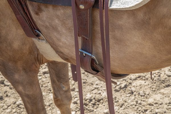 The back cinch on a palomino horse.