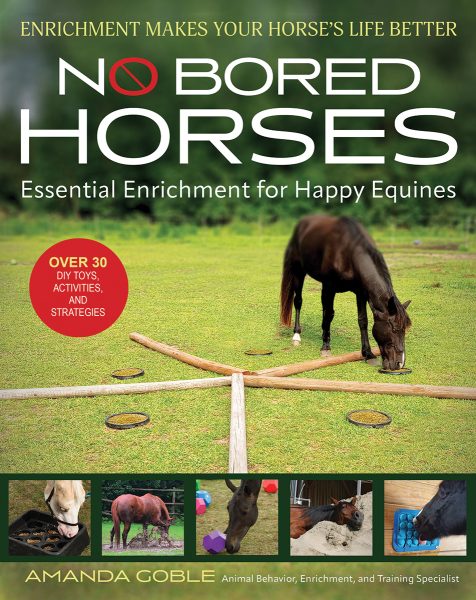No Bored Horses by Amanda Goble.