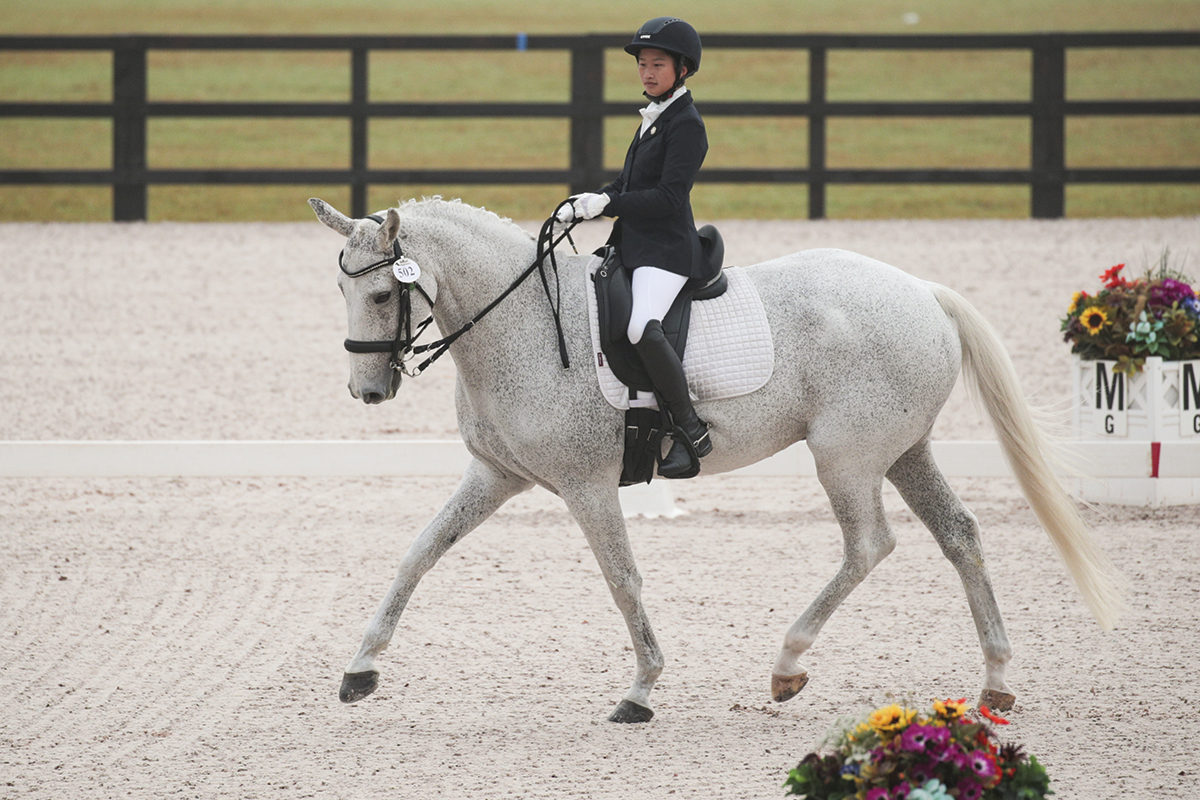 para-dressage rider