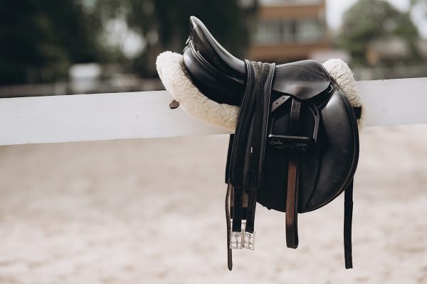 English tack, including a saddle on a fleece saddle pad