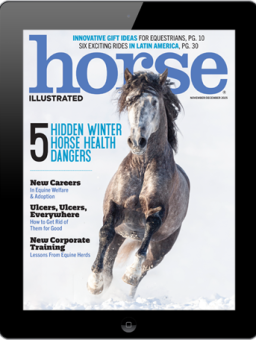 Horse Illustrated Digital Subscription - Young Rider Magazine