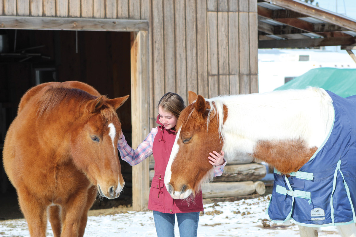 Me & My Horse Winter 2022