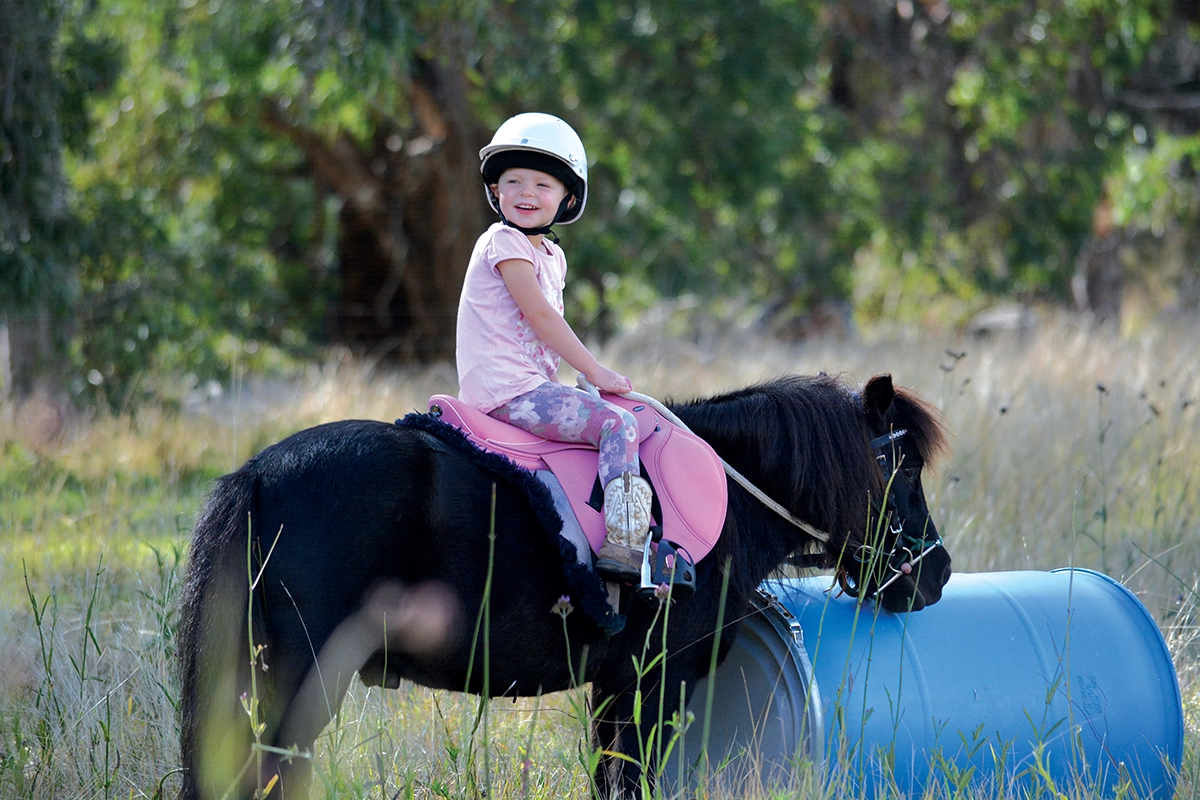 Parelli Pointers: Hanging Out with Your Horse