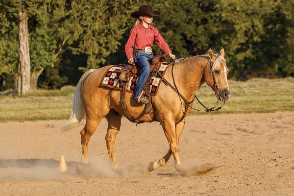A young rider rides her horse on a loose rein