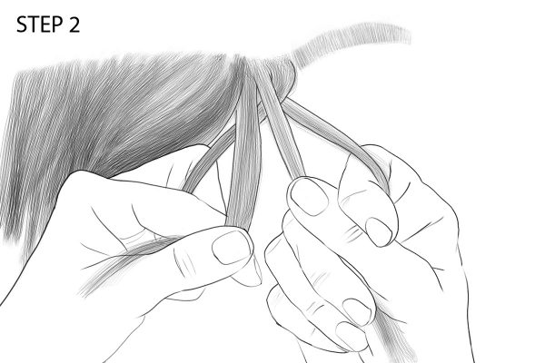 Illustration of separating mane pieces