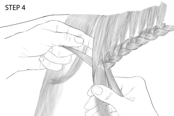 An illustration of a braid