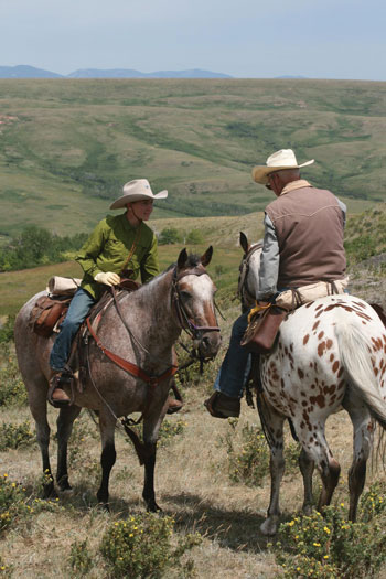 The Appaloosa Horse Breed - Young Rider magazine