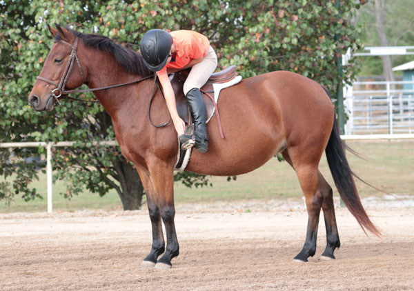 Toe Touches - Balancing in the Saddle