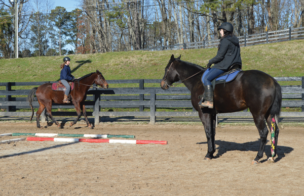 Horse Career: Daily Life as a Barn Manager