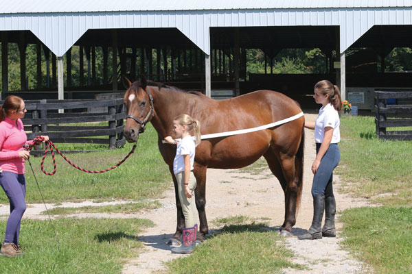 Standing by horse to prepare for blanketing.