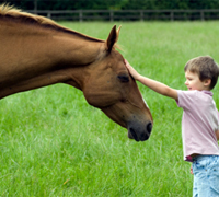Boy and horse