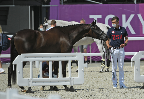 Boyd Martin - Eventing Team USA - First Horse Inspection