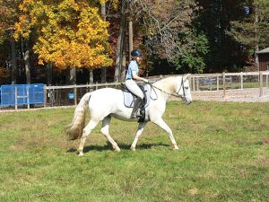 Horse fiction author riding a horse.