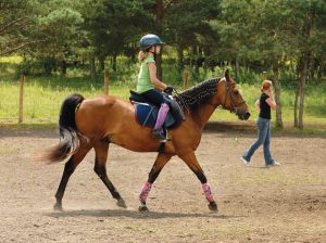 Riding Lesson - Horse Camp Lesson