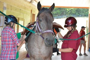 Tacking up a lesson horse