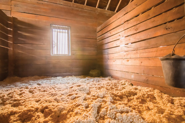 Stable Skills: How to Clean a Stall