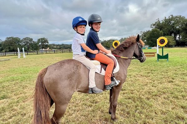 Equine Entrepreneurs: Siblings Who Train