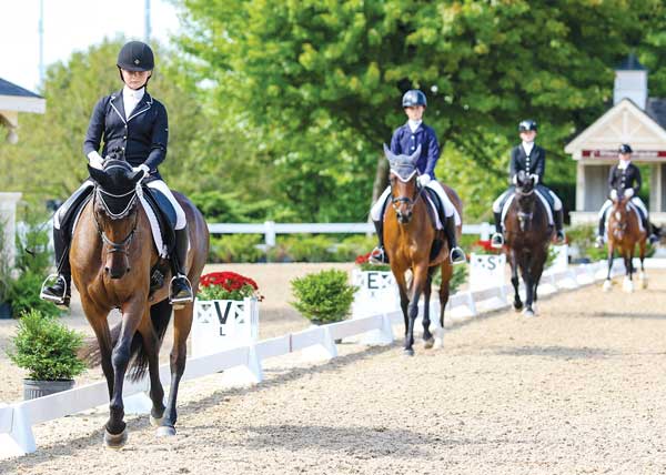 Improving Your Dressage Seat Equitation