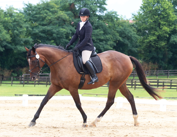 English Lesson: How to Get Started in Dressage