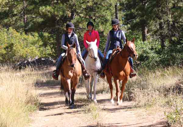 Drifters Hearts of Hope Dude Ranch - Rehoming Ranch Horses