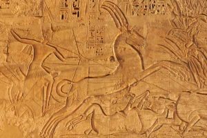 Egypt - Ramses III - Chariot - Horse Art
