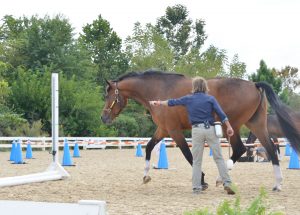 Shawna Karrasch and positive reinforcement training