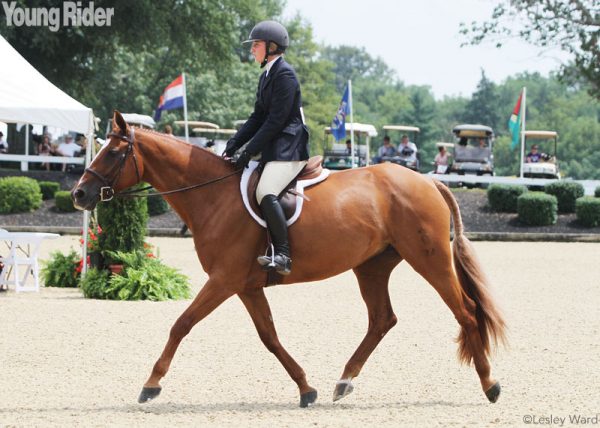 Equitation on the Flat