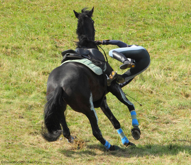 Falling Off a Horse - Young Rider Magazine