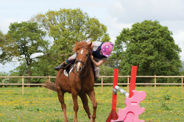 Overcoming Fear After Falling Off a Horse