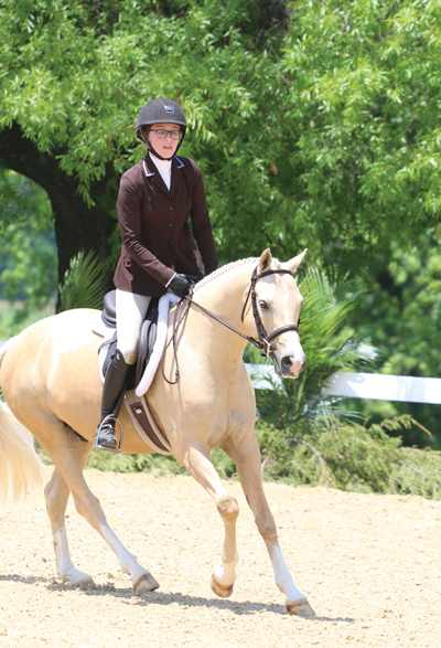 Hunter Under Saddle Flat Class Tips