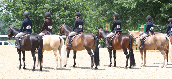 Shine on the Flat in the Under Saddle Hunter Flat Class