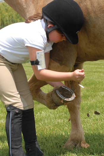 How to Pick Hooves