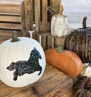 A Horse Halloween DIY: Horsey No-Carve Pumpkin