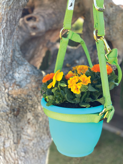 Horsey Halter Planter