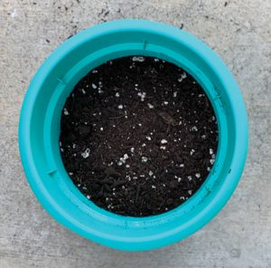 Potting Soil