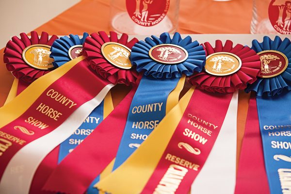 Horse show ribbons, about which there are questions in this horse show quiz.