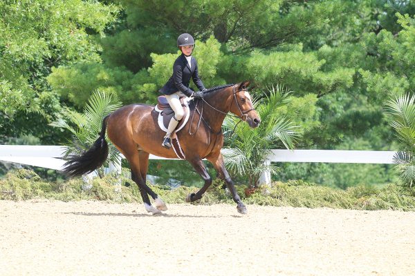 Young girl riding a pony