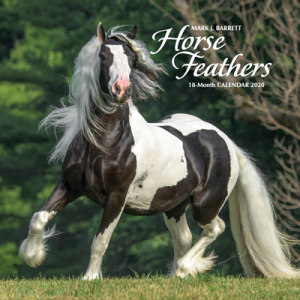Horse Feathers Calendar