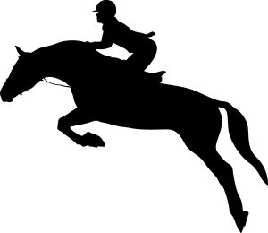 Jumping Rider Silhouette