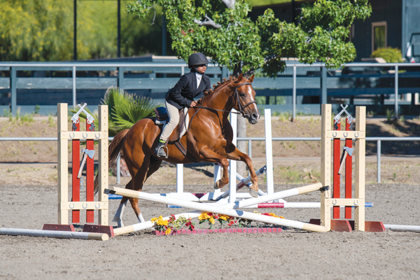 Kids Helping Horses: How Kids Can Make a Difference for Horses in Need