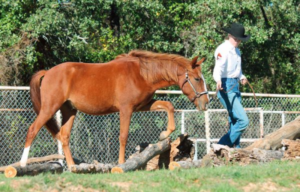 Bobbie and Zeke