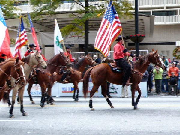 Parade of Horses