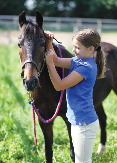 Catch and Turn Out a Horse Safely