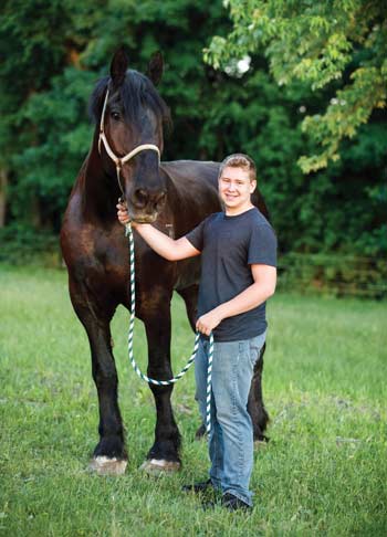 Youth Rilee Klaers and Cole, a Percheron driving horse