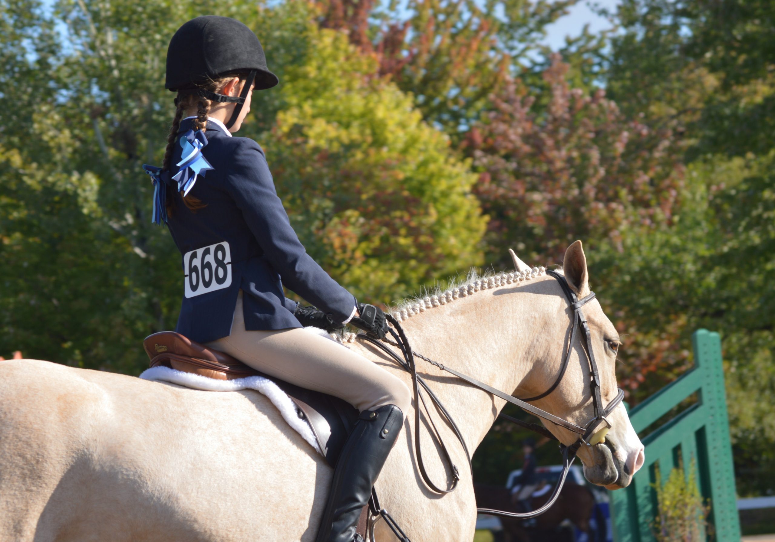 What Not to Wear: Horse Show Edition - Young Rider Magazine