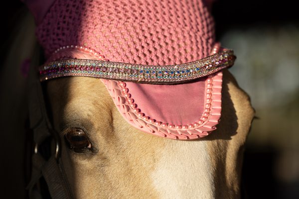 A palomino in matching, sparkly pink tack from a tack shop.