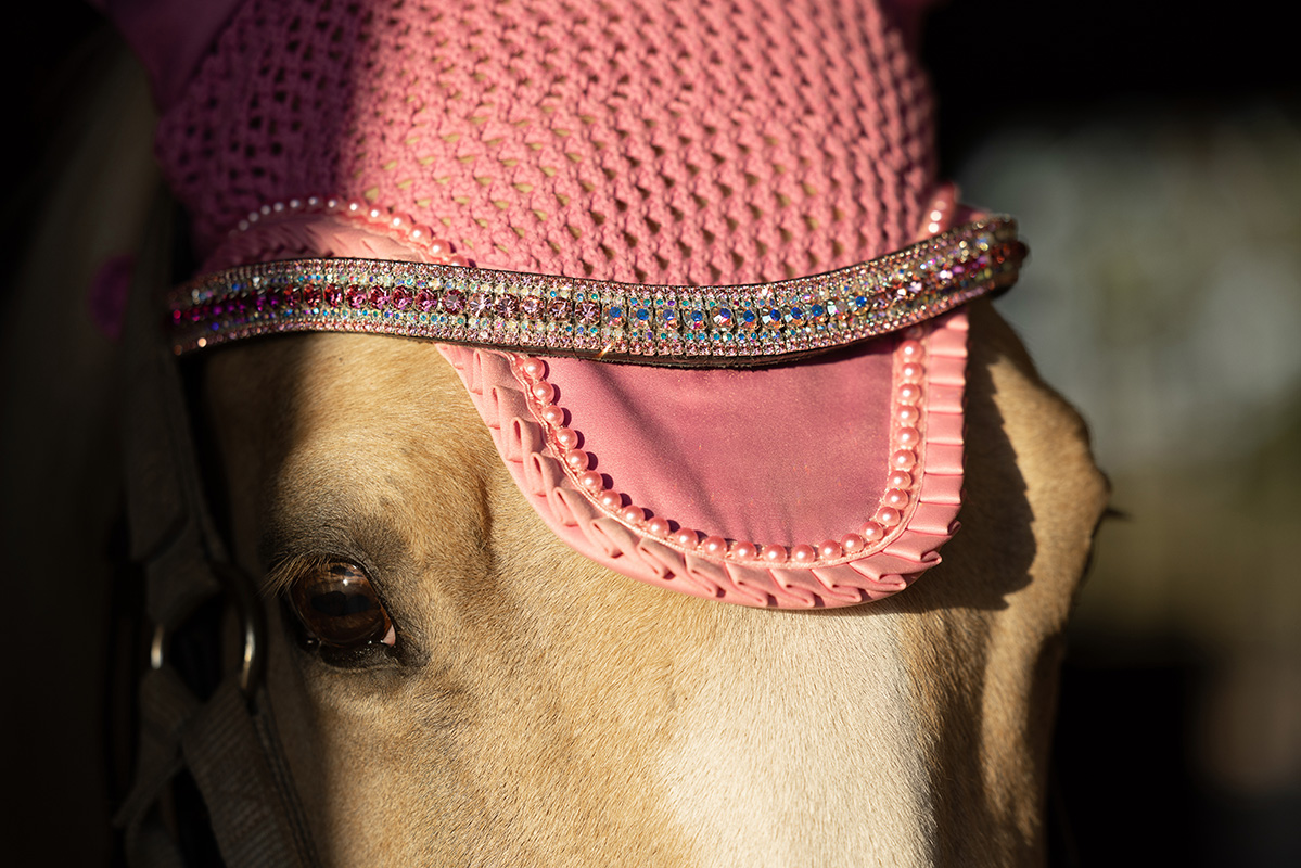 8 Stylish Tack Shops to Add Flair to Your Ride