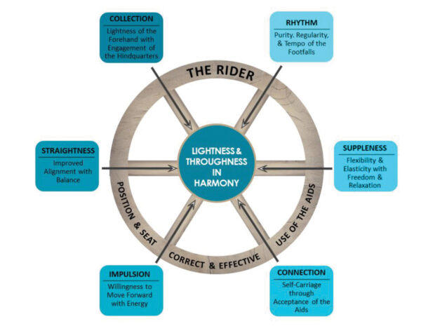 Diagram of the components of correct training